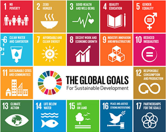 United Nations -  Sustainable Development Goals (SDGs) Knowledge